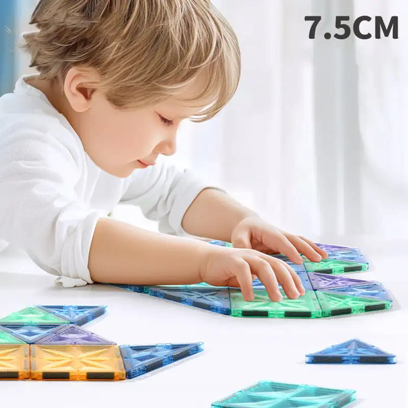 Frozen Magnetic Tiles